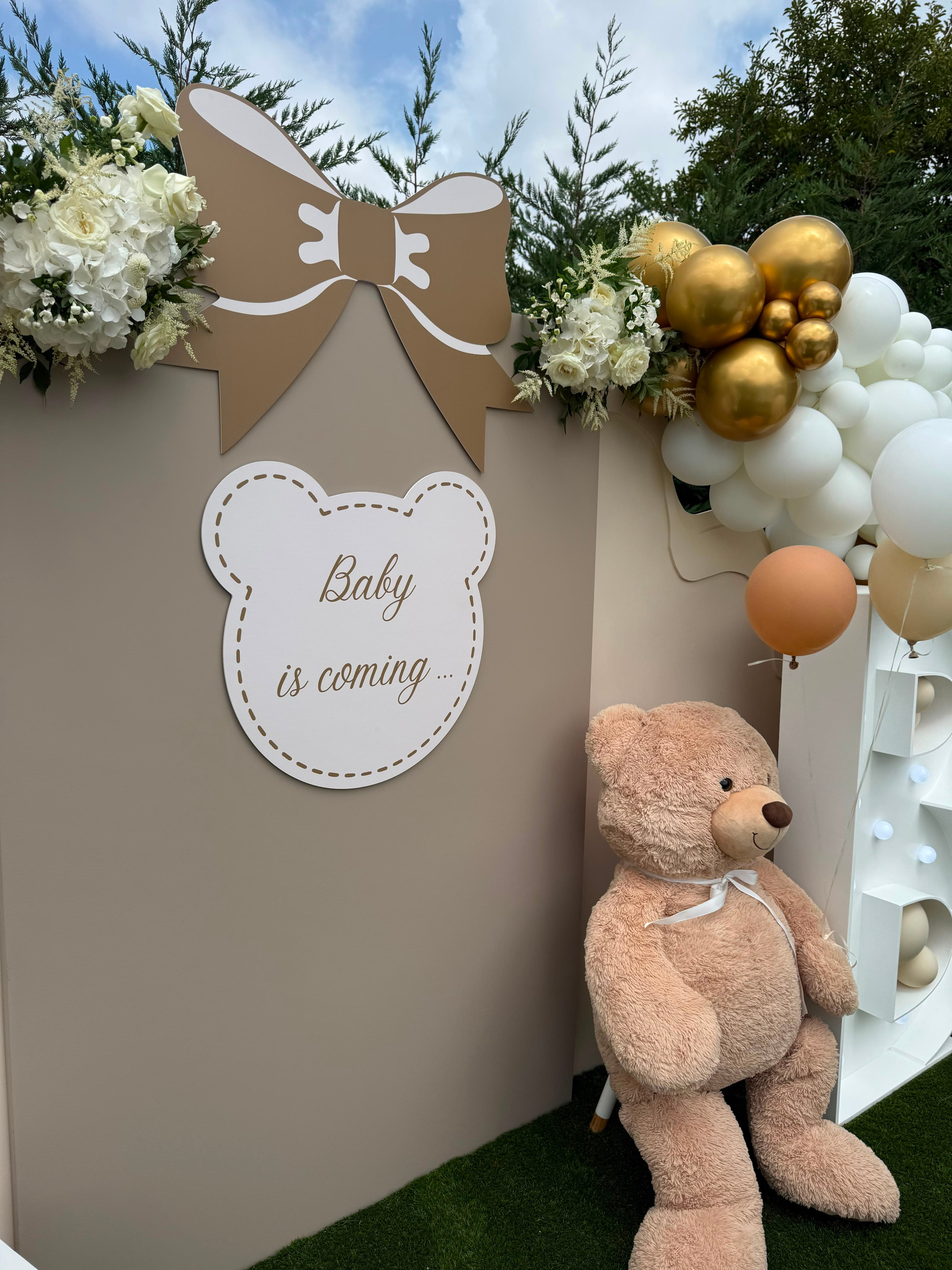 Gender Reveal - Photo 3