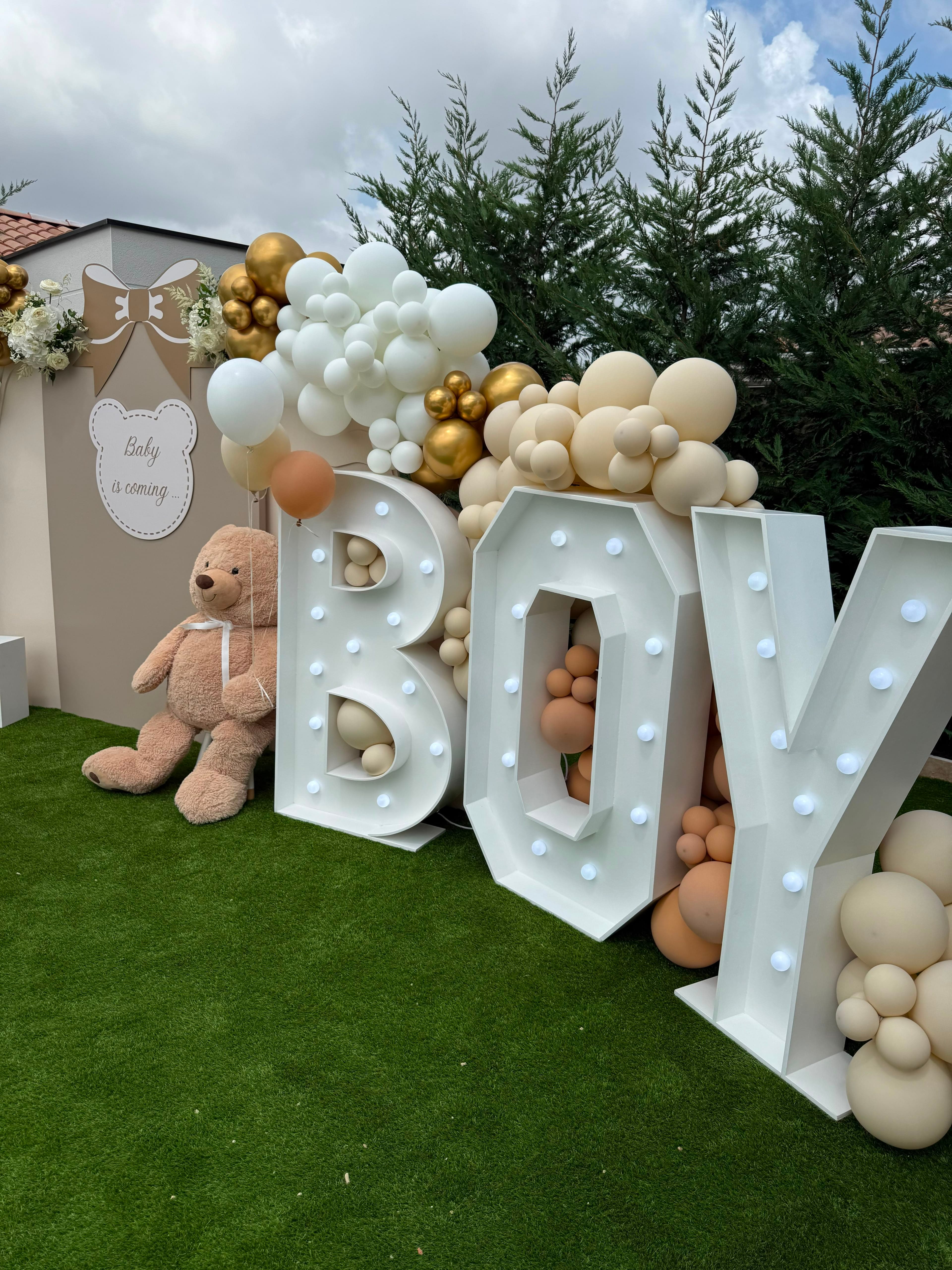 Gender Reveal - Photo 2