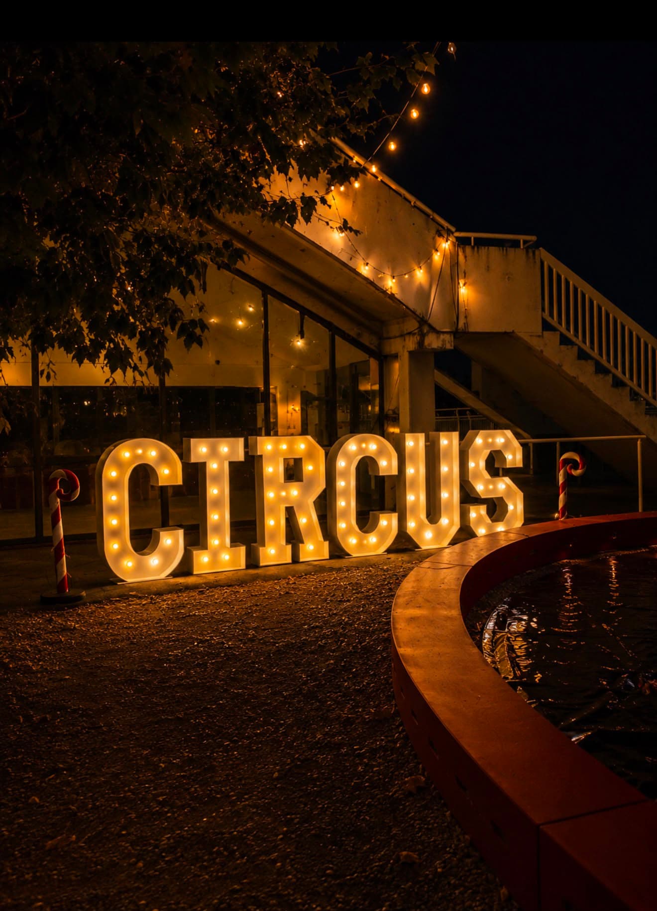 Soirée Circus - Photo 4