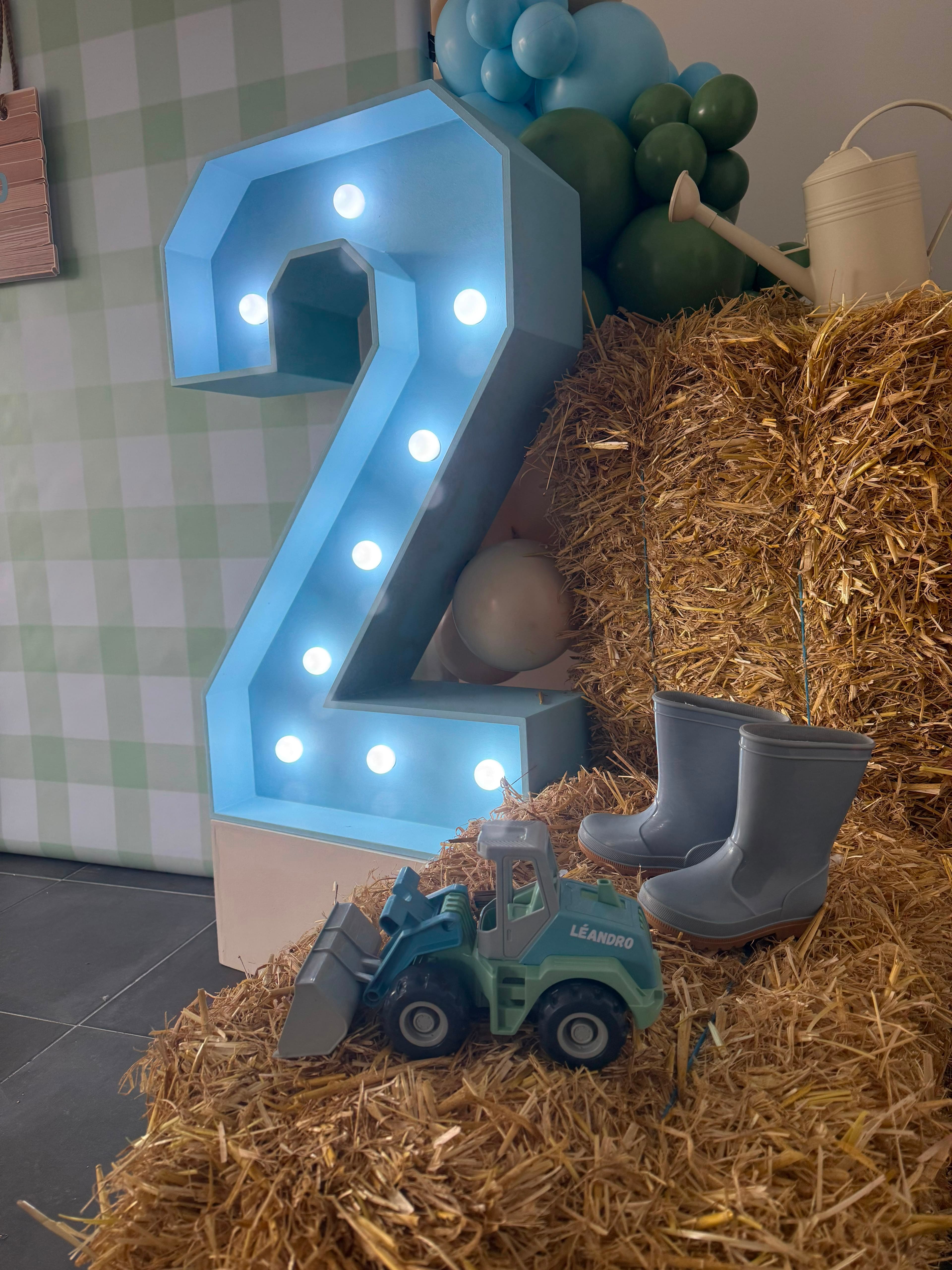 Les 2 ans de Léandro - Photo 2