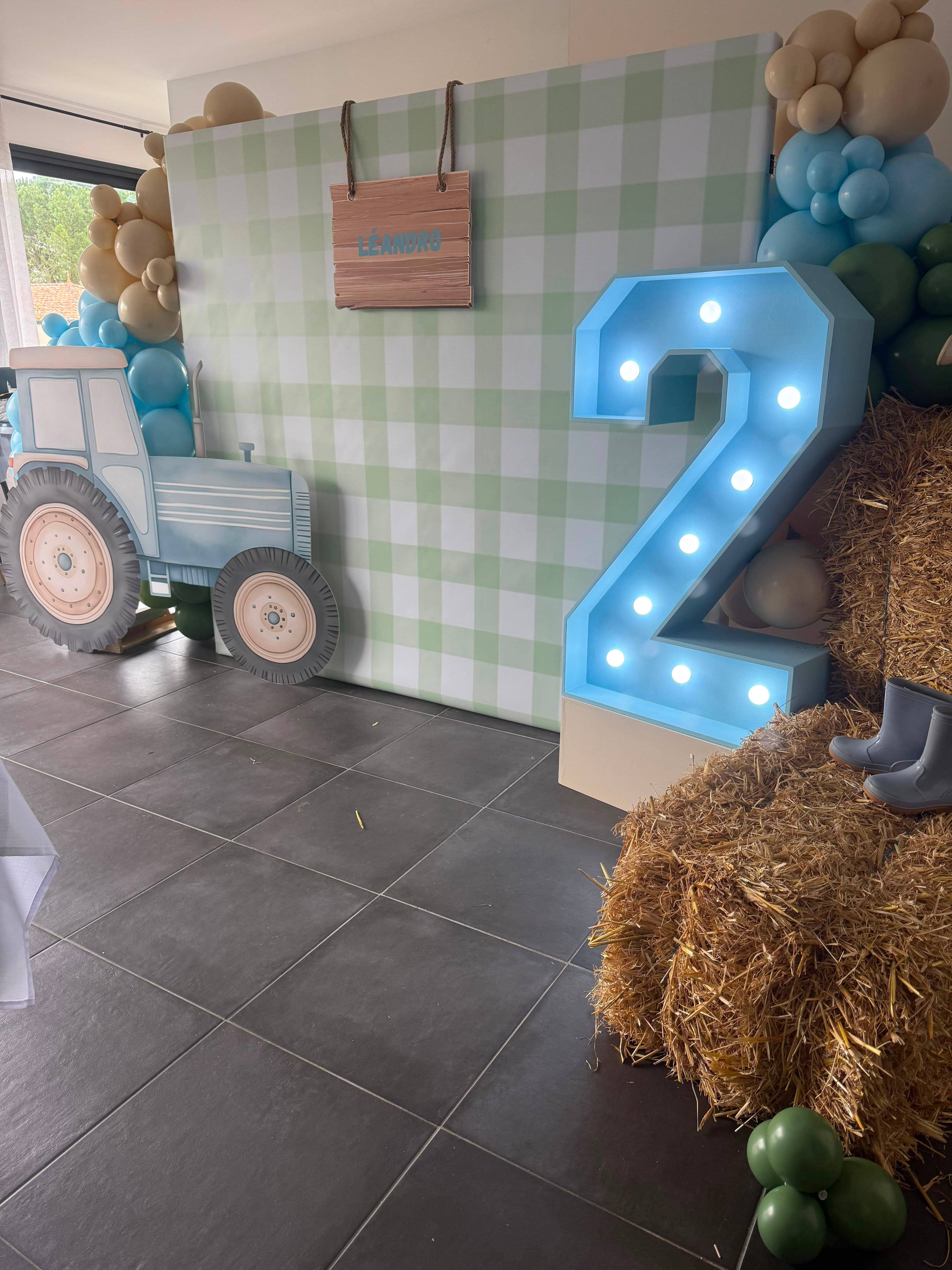 Les 2 ans de Léandro - Photo 5